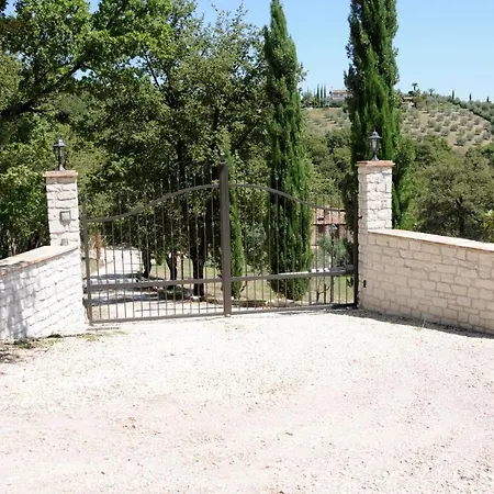 Degli Ulivi - Felcete San Venanzo