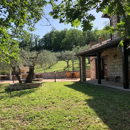 Degli Ulivi - Felcete Villa
