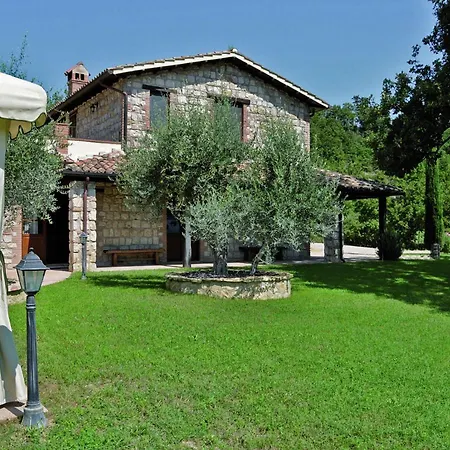 Degli Ulivi - Felcete